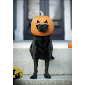 Halloween Humor - HL11908