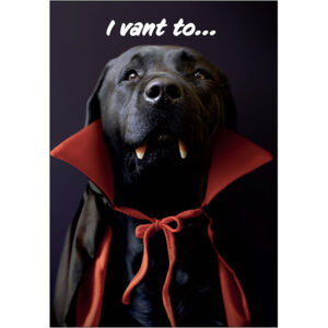 Halloween Humor - HL11909
