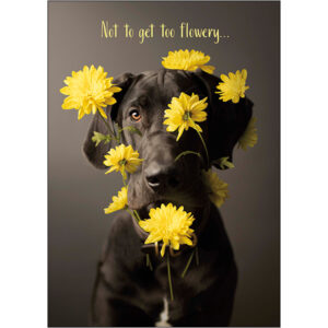 Mother's Day - M8115
