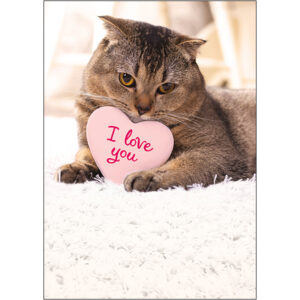 Valentine's Day - V13233