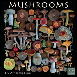 Mushrooms 2026 Wall Calendar