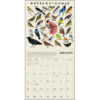 The Illustrated Animal Kingdom 2026 Wall Calendar - Image 4