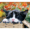 Cat Naps 2026 Daily Calendar - Image 3
