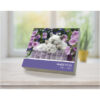 Cat Naps 2026 Daily Calendar - Image 4