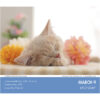 Cat Naps 2026 Daily Calendar - Image 6