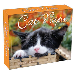 Cat Naps 2026 Daily Calendar