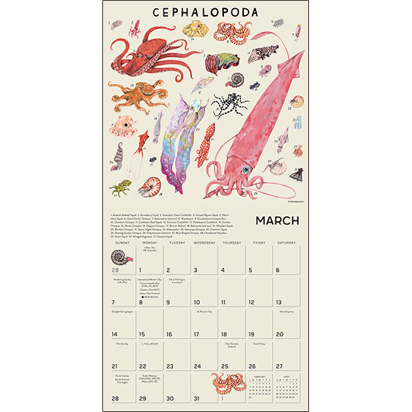 The Illustrated Animal Kingdom 2027 Wall Calendar - Image 4