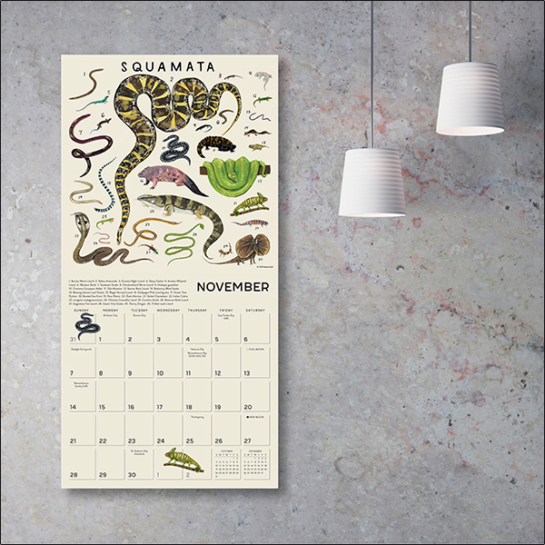 The Illustrated Animal Kingdom 2027 Wall Calendar - Image 5