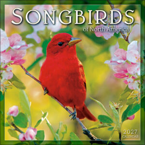 Songbirds of North America 2027 Wall Calendar