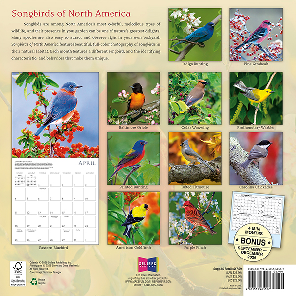 Songbirds of North America 2027 Wall Calendar - Image 2