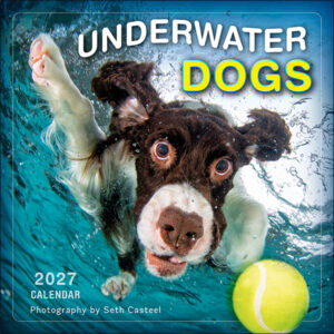 Underwater Dogs 2027 Wall Calendar