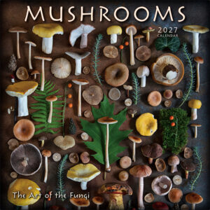 Mushrooms 2027 Wall Calendar