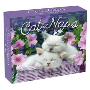 Cat Naps 2027 Daily Calendar