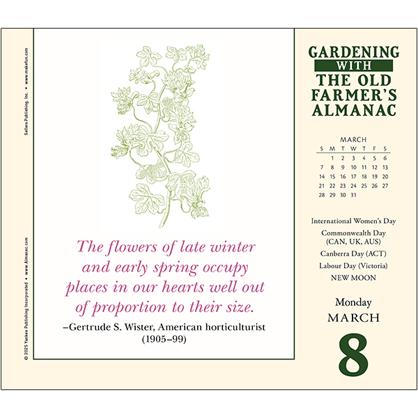 The Old Farmer's Almanac - Gardening 2027 Daily Calendar - Image 3