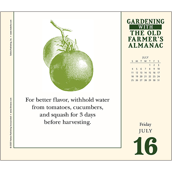 The Old Farmer's Almanac - Gardening 2027 Daily Calendar - Image 4