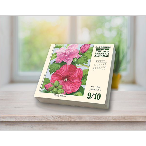 The Old Farmer's Almanac - Gardening 2027 Daily Calendar - Image 5